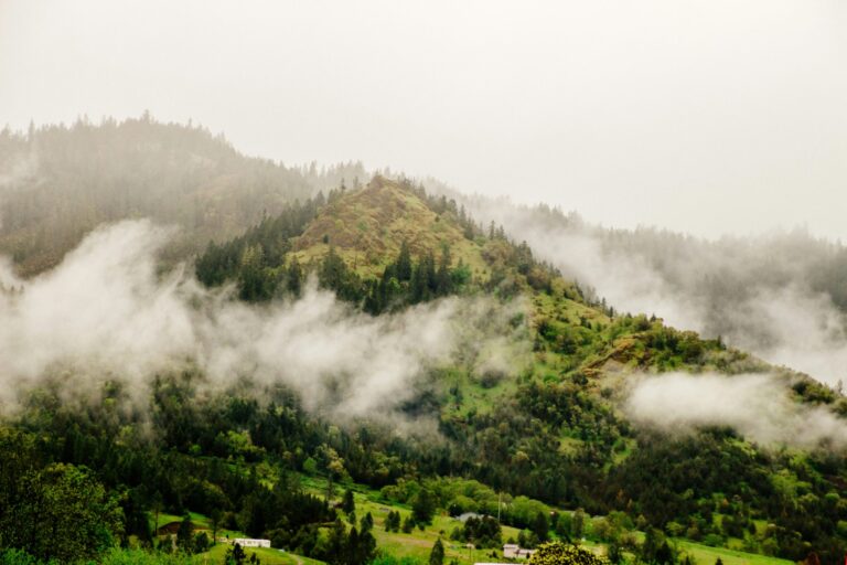 Fog over a mountain landscape